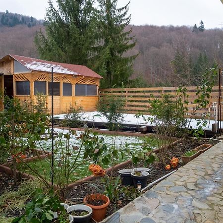 Casa Nicolas บุชเตนี ภายนอก รูปภาพ