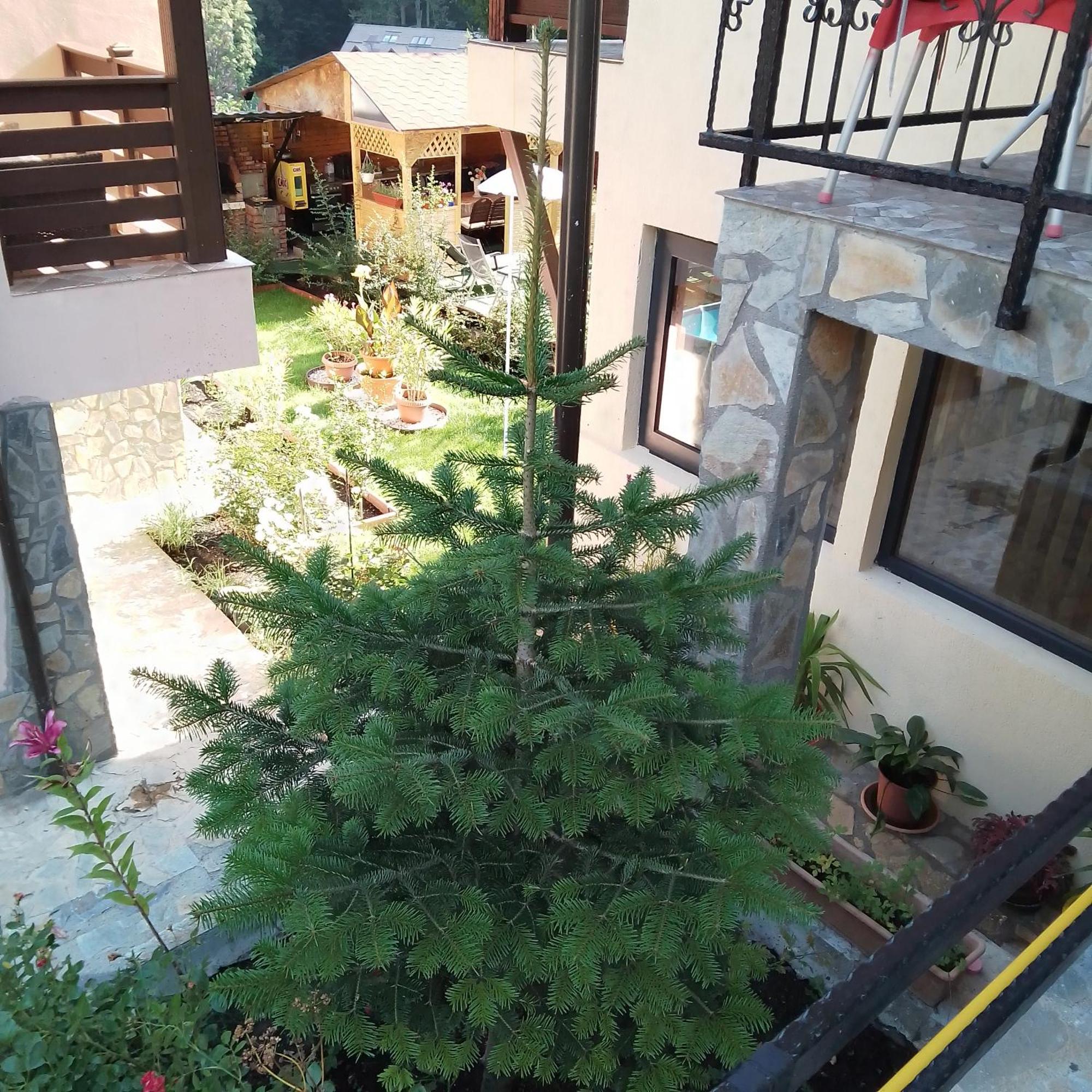 Casa Nicolas บุชเตนี ภายนอก รูปภาพ