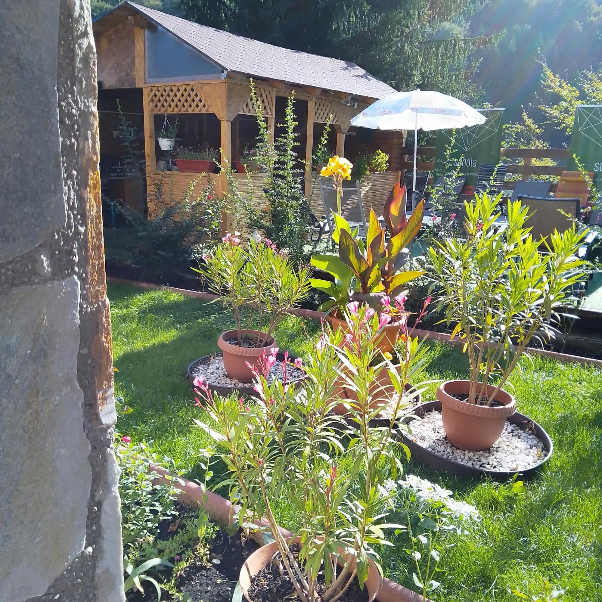 Casa Nicolas บุชเตนี ภายนอก รูปภาพ