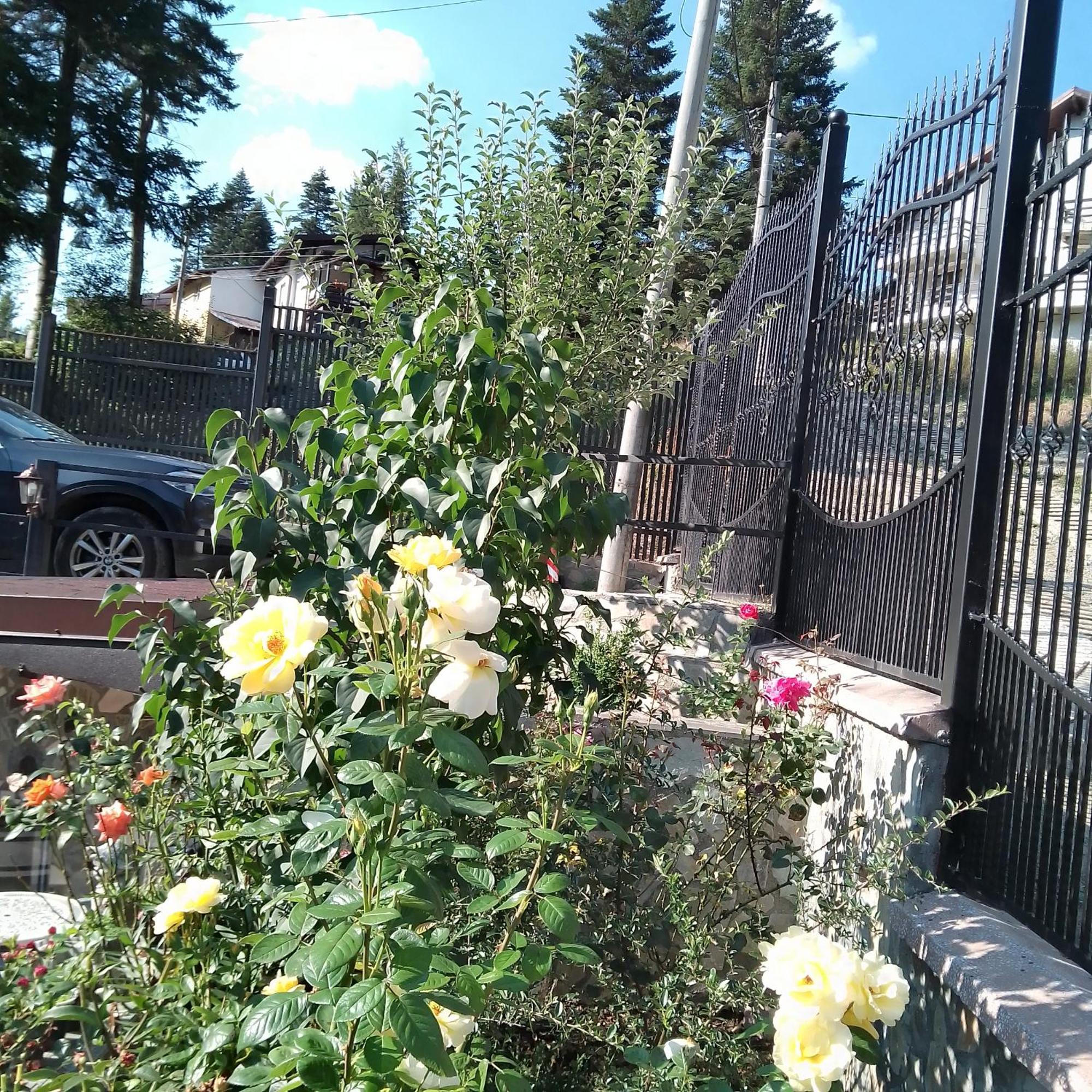 Casa Nicolas บุชเตนี ภายนอก รูปภาพ